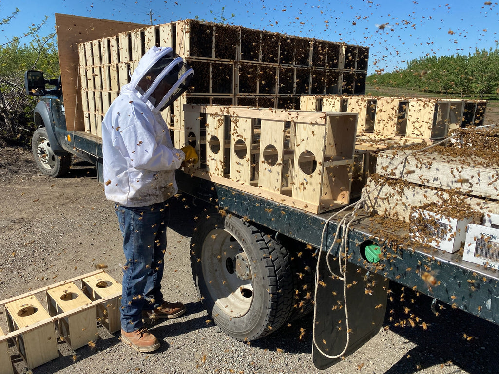 Home garden: California bees for pollination